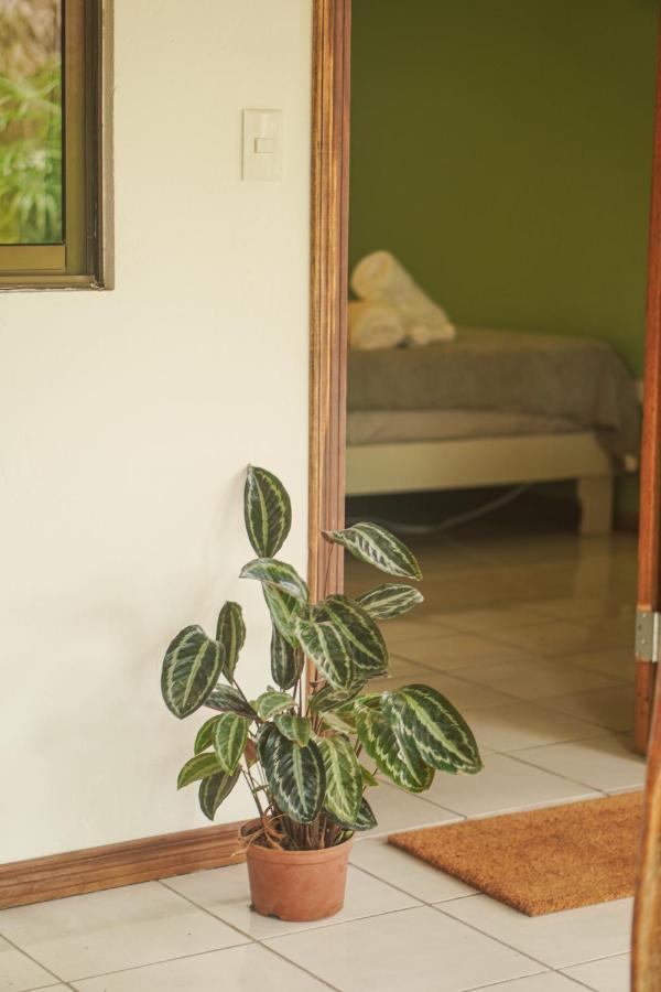 Gala Apts Playa Santa Teresa  Екстериор снимка
